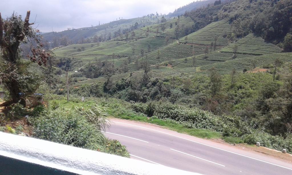 Apartament Cool Mount Guest Nuwara Eliya Zewnętrze zdjęcie