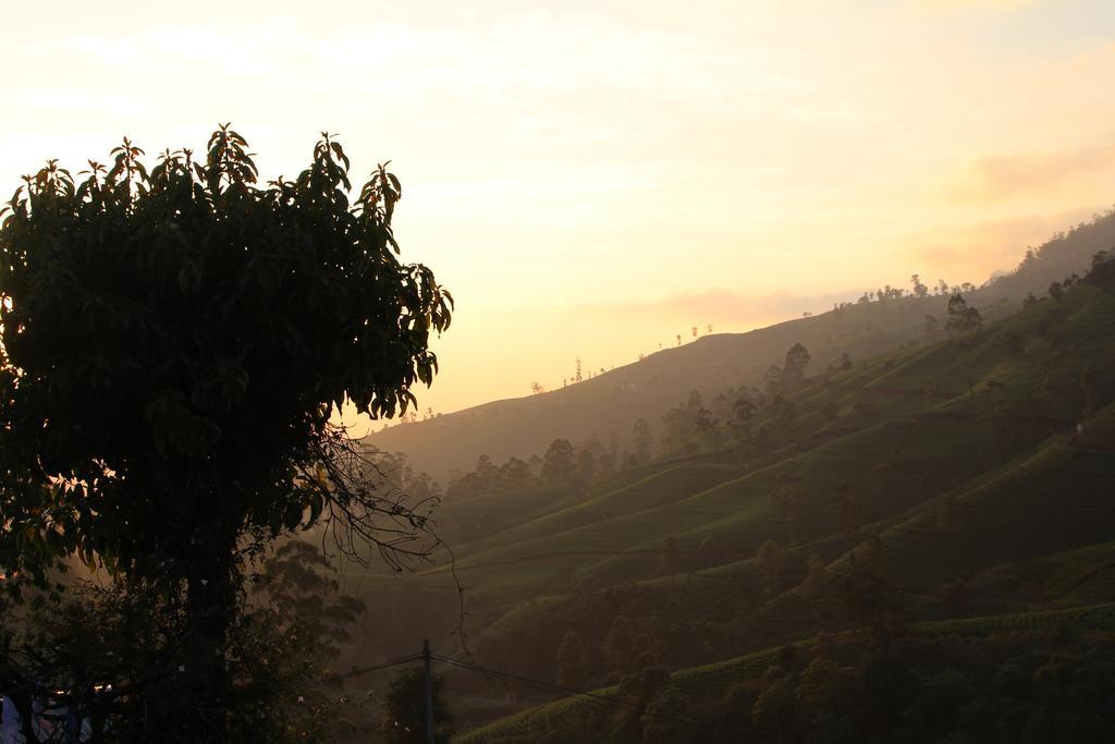 Apartament Cool Mount Guest Nuwara Eliya Zewnętrze zdjęcie
